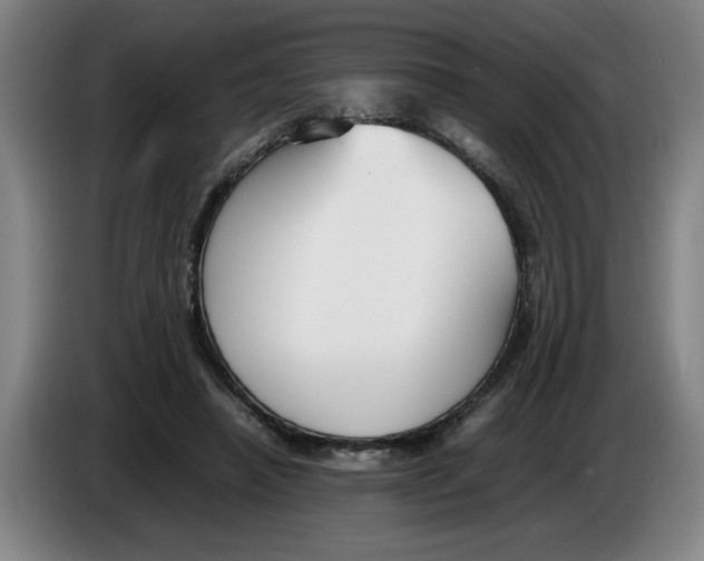 X0000086330450200704202045