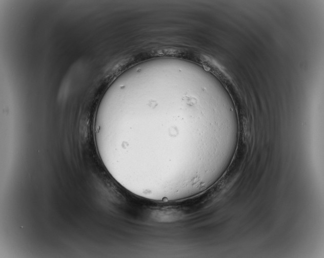 X0000086330451200704202045