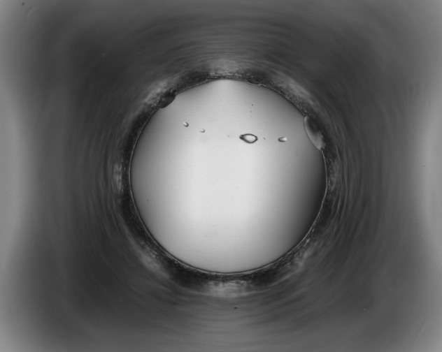 X0000086330452200704202045