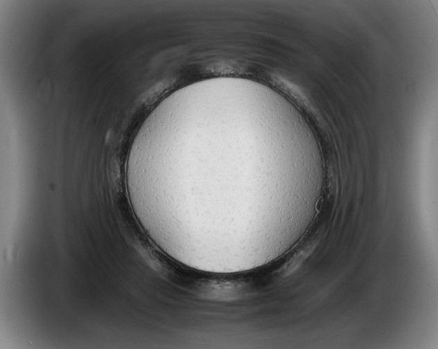 X0000086330453200704202045