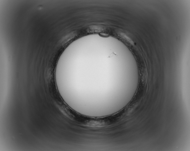 X0000086330455200704202045