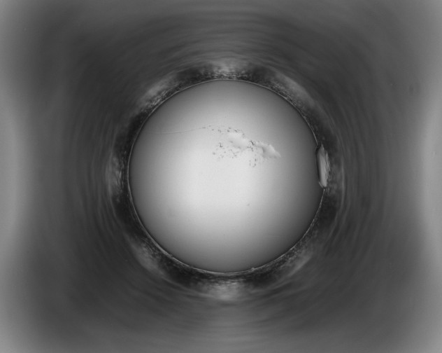 X0000086330456200704202045