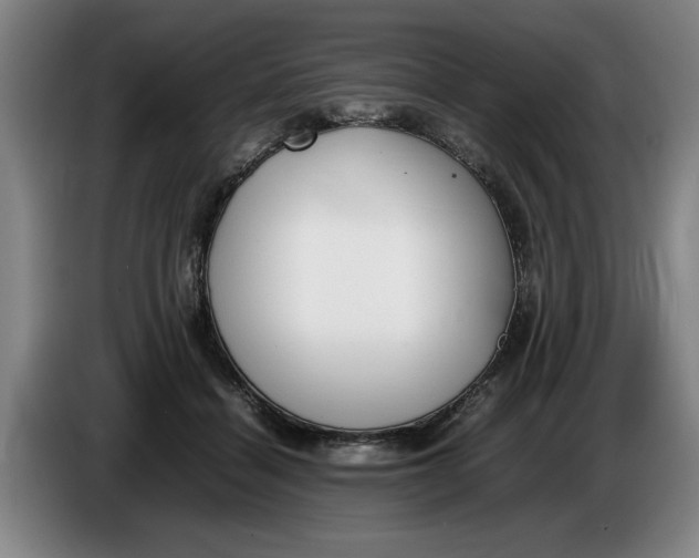 X0000086330460200704202045