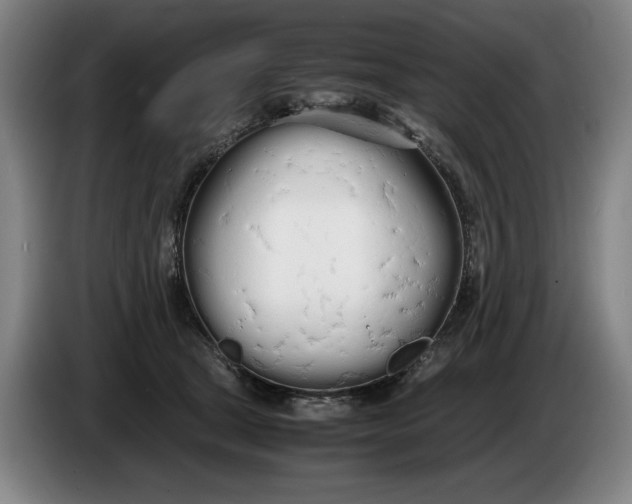 X0000086330465200704202045