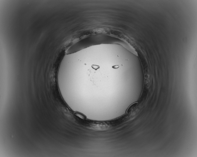 X0000086330466200704202045