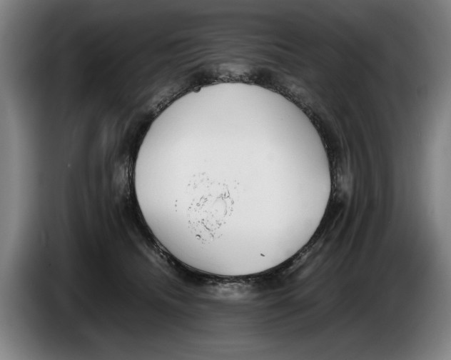 X0000086330468200704202045