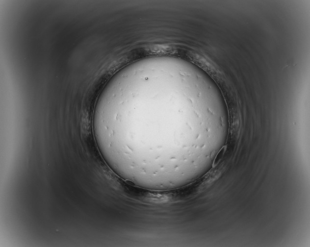 X0000086330469200704202045