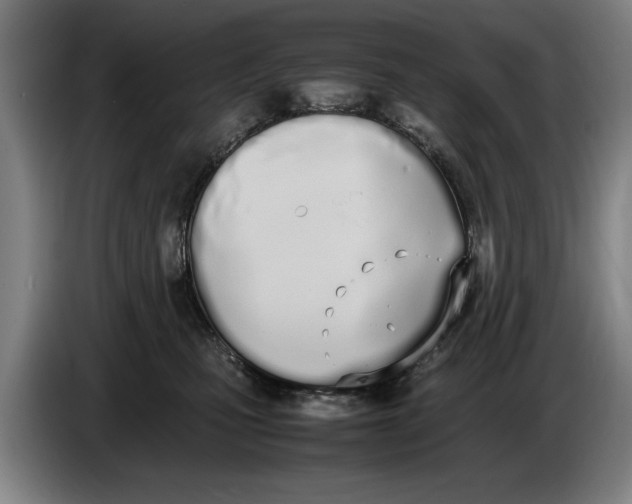 X0000086330471200704202045