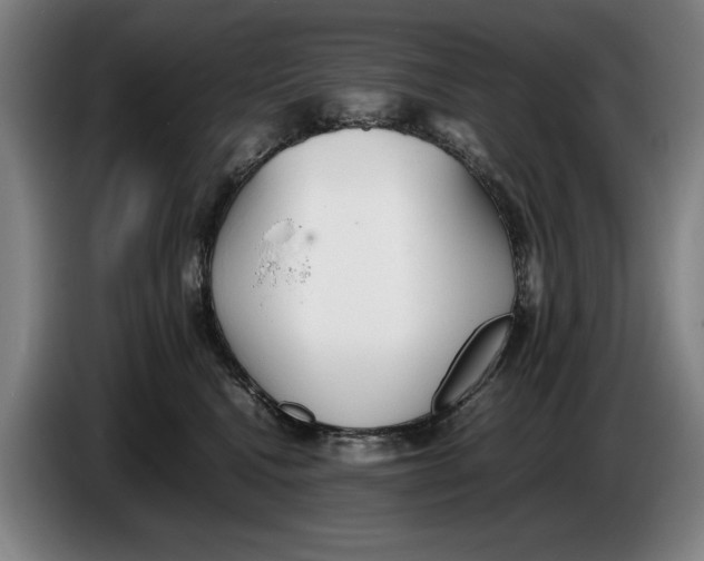 X0000086330472200704202045