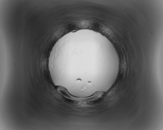 X0000086330473200704202045