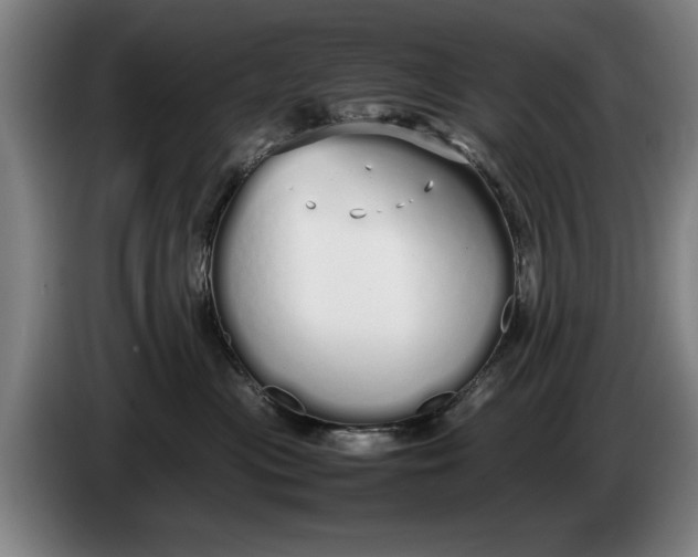 X0000086330477200704202045