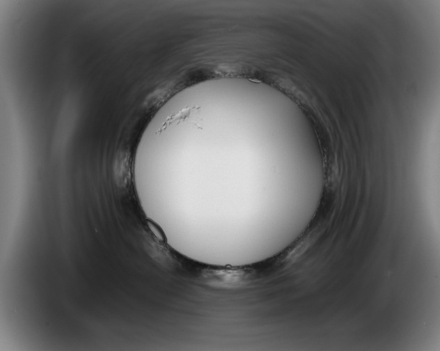 X0000086330478200704202045