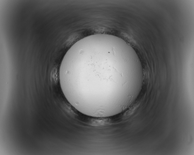 X0000086330479200704202045