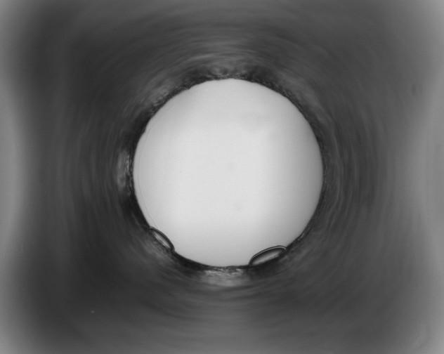 X0000086330480200704202045