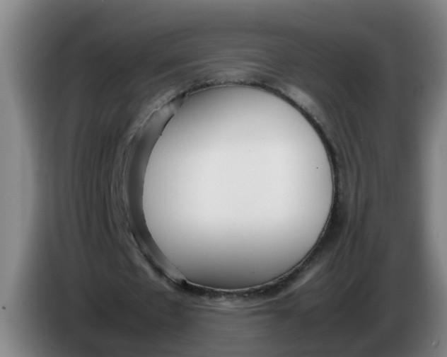 X0000086330481200704202044