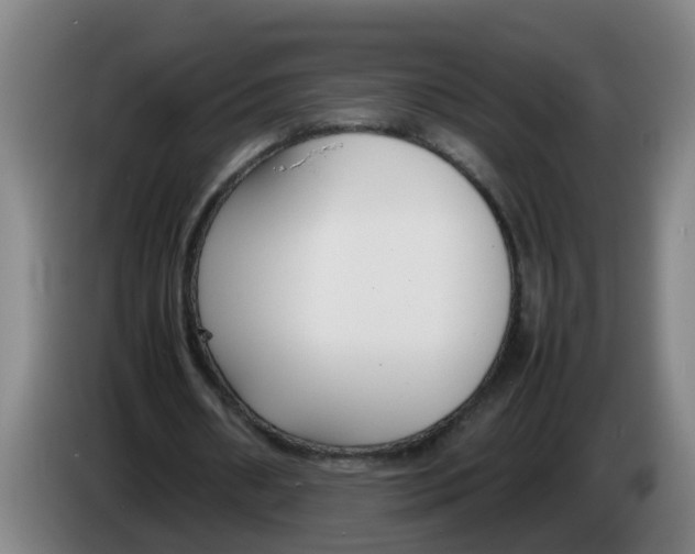 X0000086330482200704202044