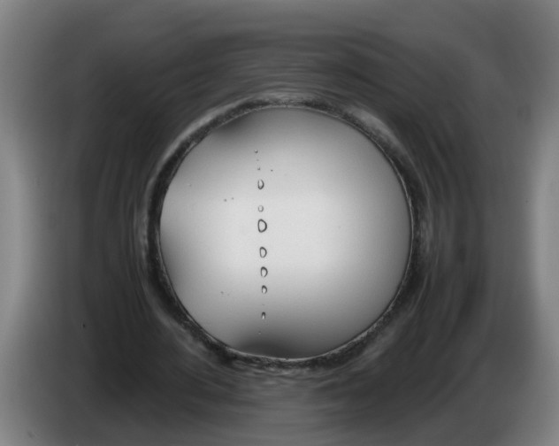 X0000086330484200704202044