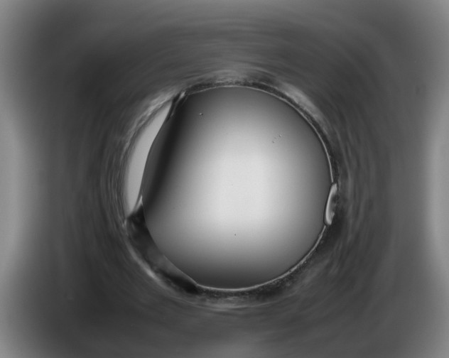 X0000086330485200704202044