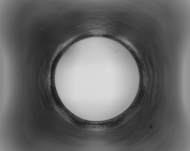 X0000086330486200704202044