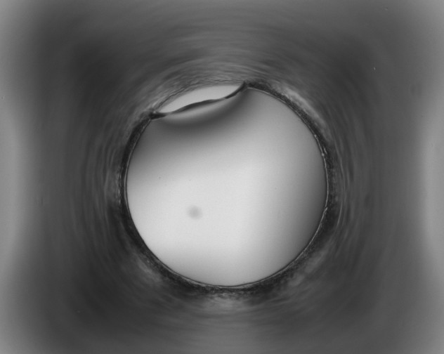 X0000086330489200704202044