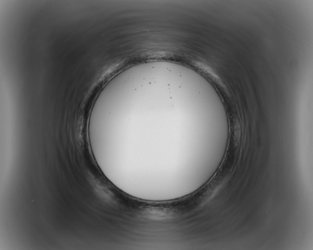 X0000086330490200704202044