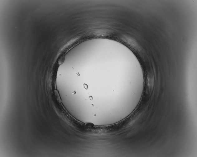 X0000086330492200704202044