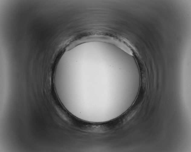 X0000086330493200704202044