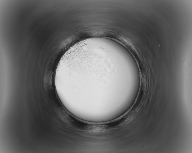 X0000086330495200704202044