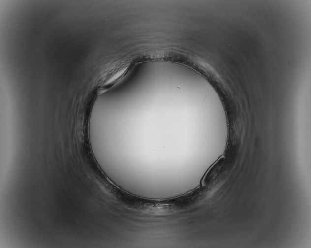 X0000086330497200704202044