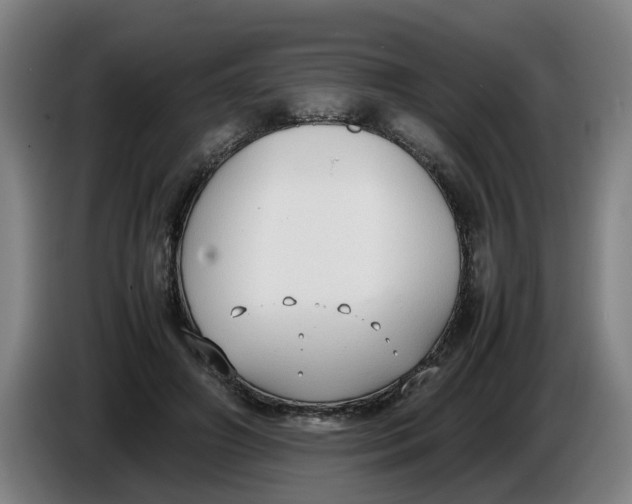 X0000086330498200704202044