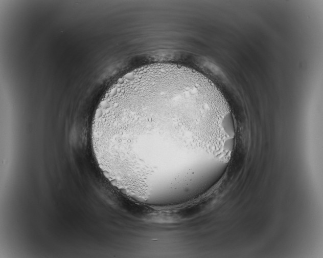 X0000086330499200704202044