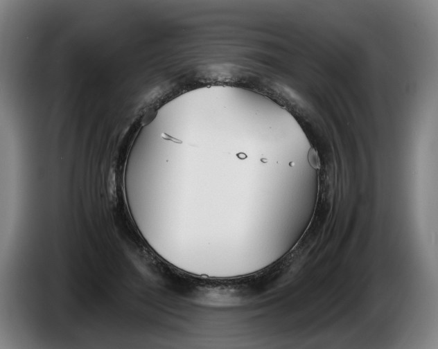 X0000086330500200704202044