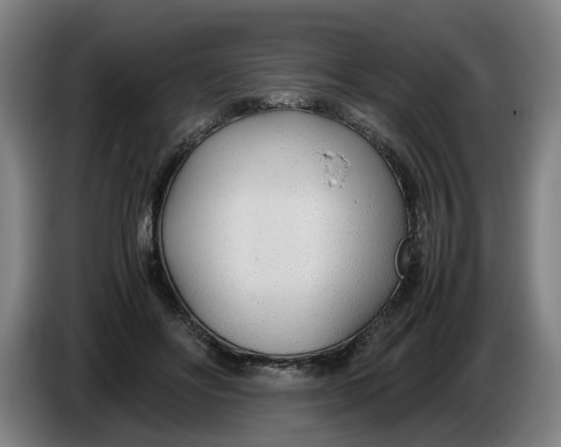 X0000086330502200704202044