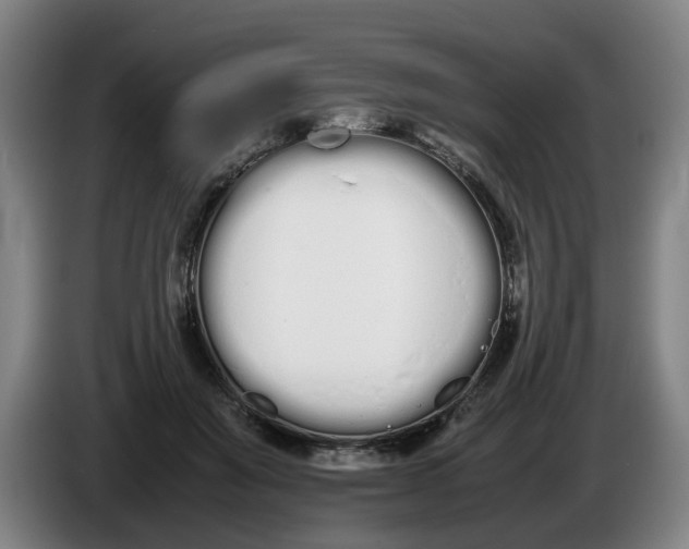 X0000086330503200704202044