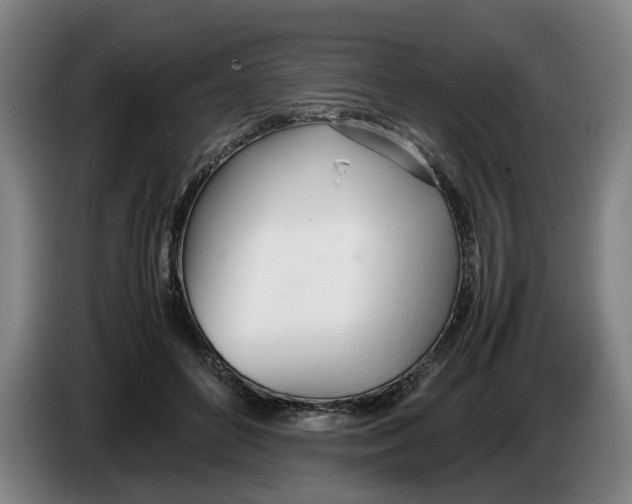 X0000086330504200704202044