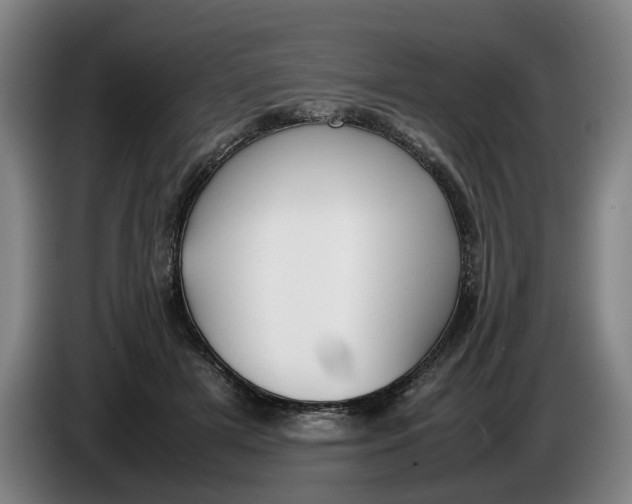 X0000086330505200704202044