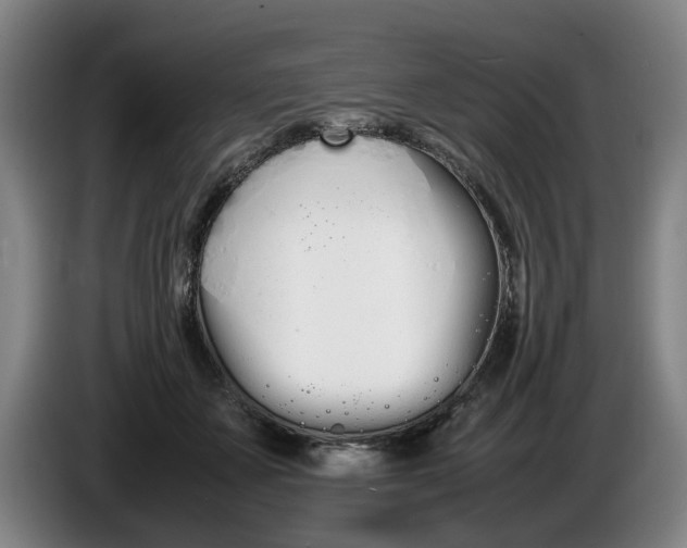 X0000086330507200704202044