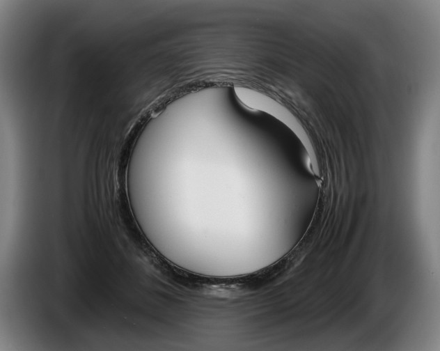 X0000086330508200704202044