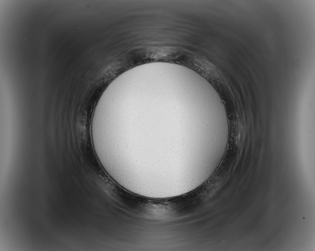 X0000086330510200704202044