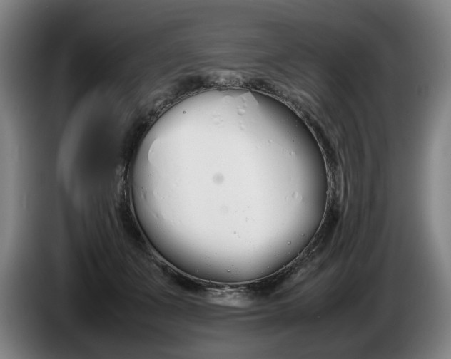 X0000086330511200704202044