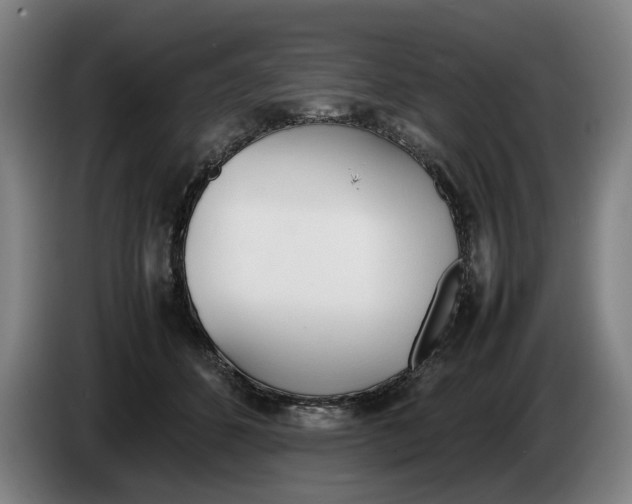 X0000086330512200704202044