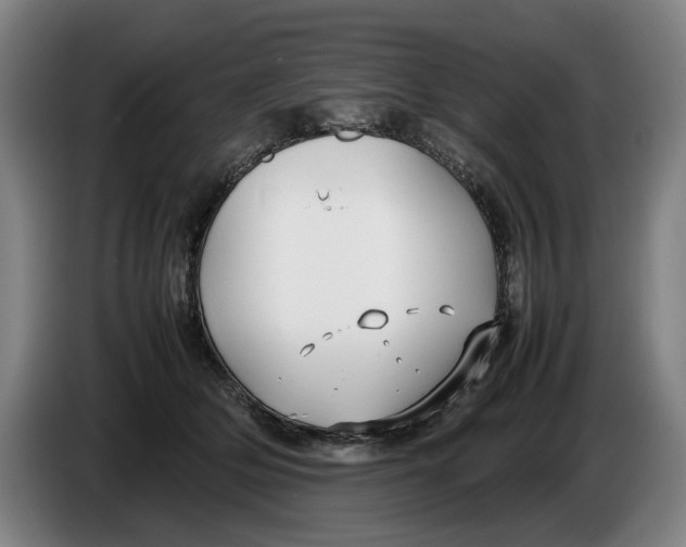 X0000086330514200704202044