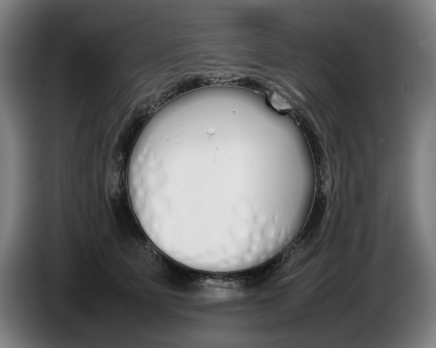 X0000086330515200704202044