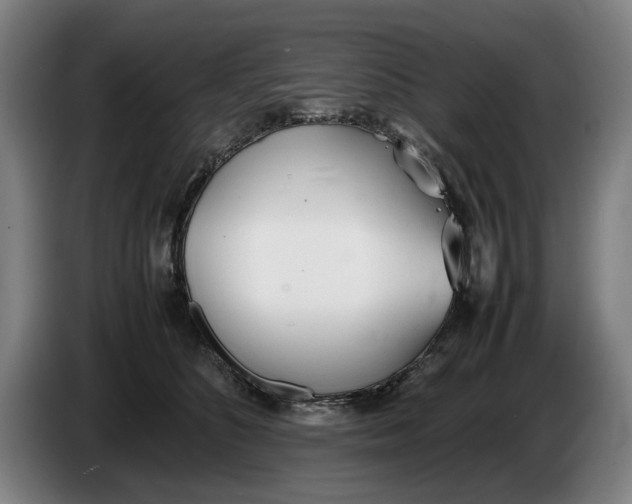 X0000086330516200704202044