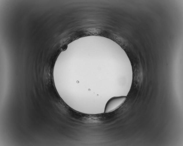 X0000086330518200704202044