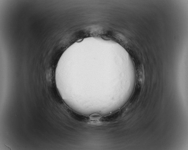 X0000086330519200704202044