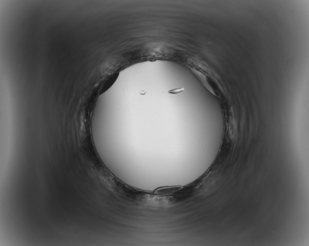 X0000086330520200704202044