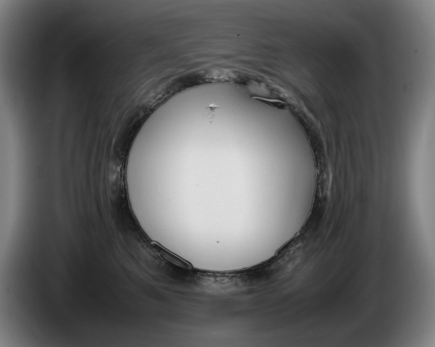 X0000086330521200704202044