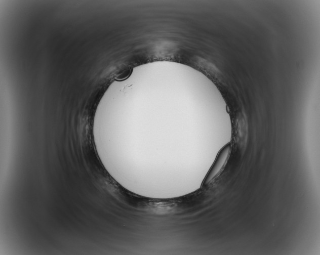 X0000086330522200704202044