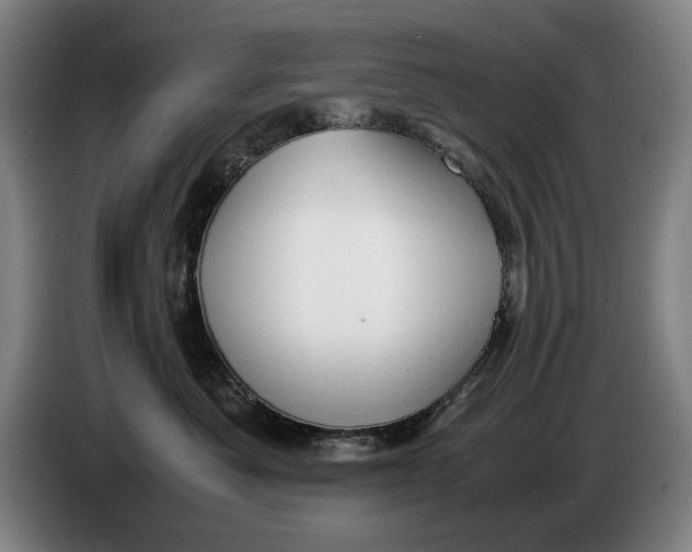 X0000086330525200704202044